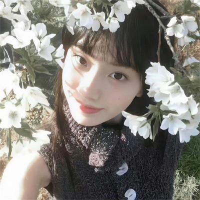 聪明的鸭子